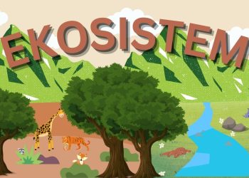 Ekosistem: Pengertian, Stuktur, Peran, dan Fungsi Ekosistem