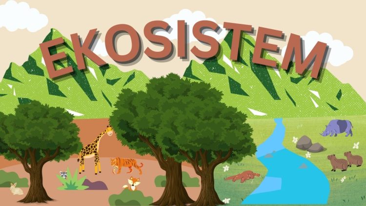 Ekosistem: Pengertian, Stuktur, Peran, dan Fungsi Ekosistem