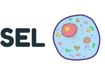 Sel: Pengertian, Stuktur, dan Fungsi Sel Peran Sel