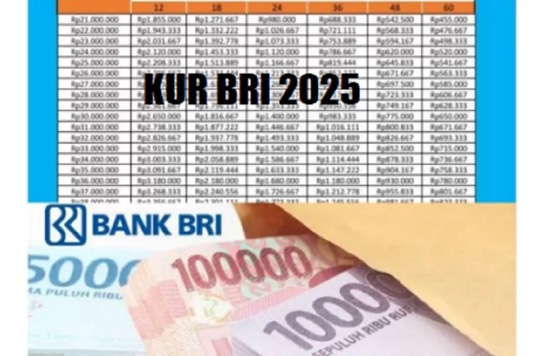 Cara dan Syarat Lengkap Pengajuan KUR BRI 2025 Secara Online dan Offline