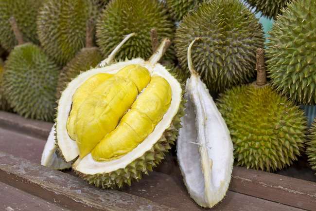 Manfaat Durian dan Efek Sampingnya bagi Kesehatan Tubuh