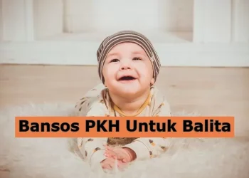 Cara Cek Pencairan Bansos Balita Tahap 1 2025