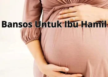 Cara Mudah Daftar Bansos Ibu Hamil 2025