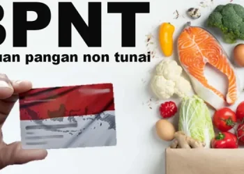 Cek Syarat dan Ketentuan Pencairan BPNT Tahap 1 Tahun 2025