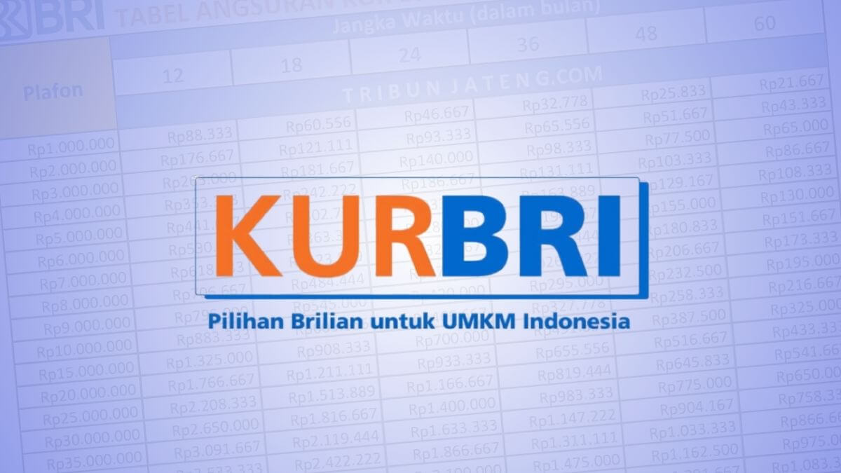Gagal Dapat KUR BRI 2025? Ini Solusinya!