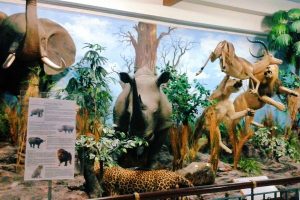 Museum Bukit Barisan