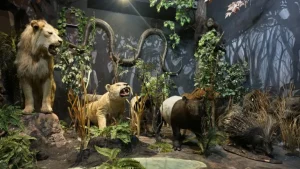 Rahmat International Wildlife Museum and Gallery