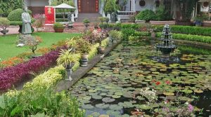 Tjong Yong Hian Gallery