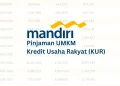 Jenis-Jenis Pinjaman oleh Bank Mandiri: Pilihan dan Fitur