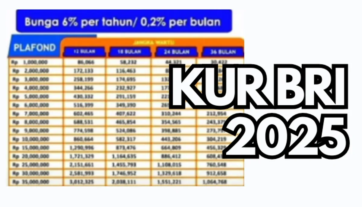 KUR BRI: Solusi Mudah dan Cepat untuk Pengembangan Usaha UMKM