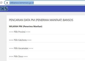Cara Cek Pencairan Dana Bansos BLT 2025