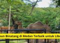 4 Rekomendasi Kebun Binatang di Medan Terbaik untuk Liburan Keluarga
