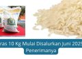 Bansos Beras 10 Kg Mulai Disalurkan Juni 2025 Ini Daftar Penerimanya