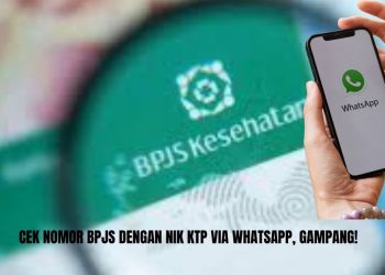 Cek Nomor BPJS dengan NIK KTP via WhatsApp, Gampang!