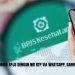Cek Nomor BPJS dengan NIK KTP via WhatsApp, Gampang!