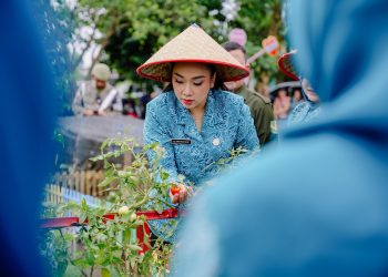 Airin Waas Tinjau & Panen Sayuran di Taman Setia Sempakata