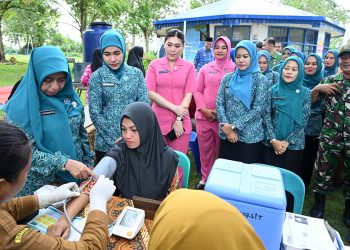 Tinjau Posyandu di Labusel, Wakil Ketua TP Posyandu Sumut Ajak Masyarakat Rutin ke Posyandu