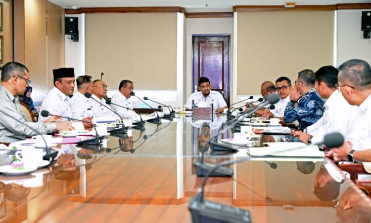 Kembalikan Kejayaan Jeruk Karo, Bobby Nasution Putuskan Intervensi Penanganan Hama Lalat Buah Secara Masif