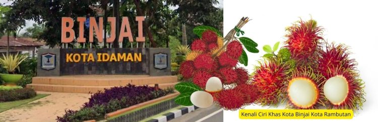 Kenali Ciri Khas Kota Binjai Kota Rambutan