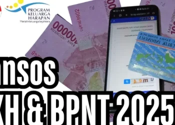 Cara Cepat Cek Bantuan Langsung Tunai Tahun 2025!