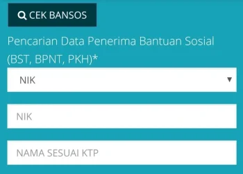 Cek Bantuan Sosial Cukup Pakai NIK? Ini Daftar Lengkap Bantuan yang Bisa Anda Akses