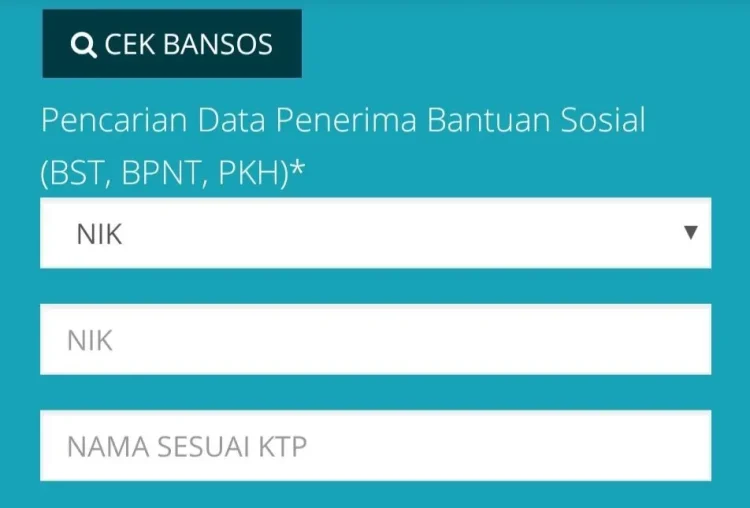 Cek Bantuan Sosial Cukup Pakai NIK? Ini Daftar Lengkap Bantuan yang Bisa Anda Akses