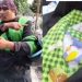 Dikirim Lewat Aplikasi, Mayat Bayi Ditemukan di Paket Ojol