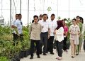Tinjau Taman Sains Teknologi Herbal dan Hortikultura, Wapres Gibran Apresiasi Inovasi Riset dan Hilirisasi Produk