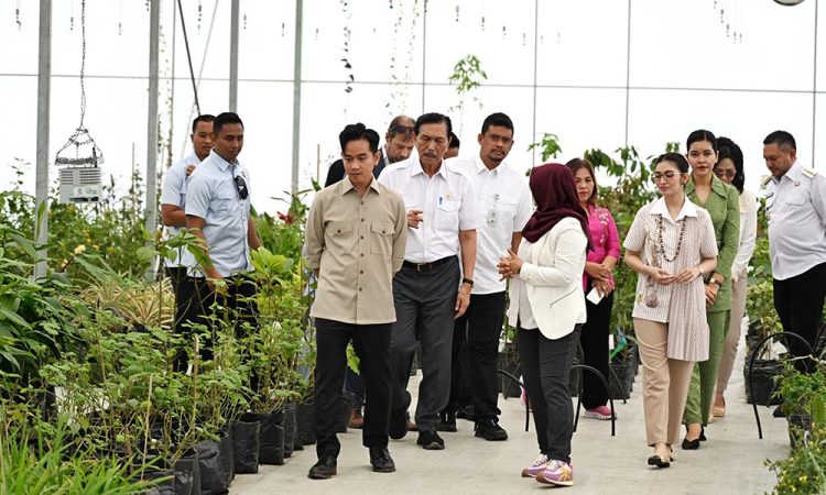 Tinjau Taman Sains Teknologi Herbal dan Hortikultura, Wapres Gibran Apresiasi Inovasi Riset dan Hilirisasi Produk