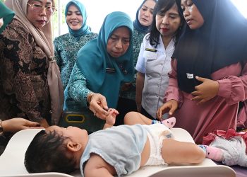 Supervisi PKK di Labuhanbatu, Staf Ahli I TP PKK Sumut Dorong PKK Kembangkan Jaringan Kemitraan yang Luas