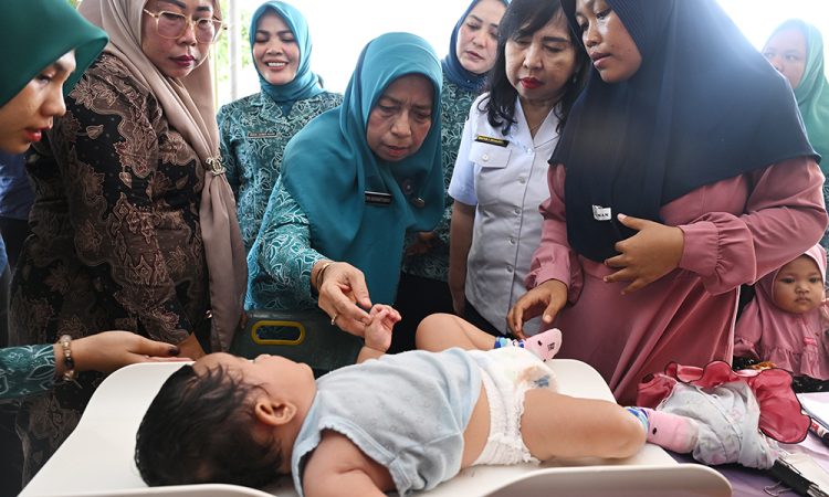 Supervisi PKK di Labuhanbatu, Staf Ahli I TP PKK Sumut Dorong PKK Kembangkan Jaringan Kemitraan yang Luas