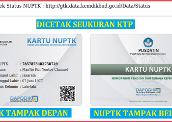 Mau Dapat NUPTK? Ini Cara dan Syarat Lengkapnya!