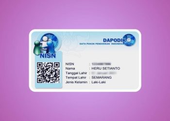 Panduan Praktis Mengecek NISN untuk Pencairan PIP Mei 2025