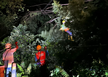 Pemadaman Listrik di Aceh Selatan, PLN Minta Maaf