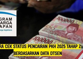 Cara Cek Status Pencairan PKH 2025 Tahap 2 Berdasarkan Data DTSEN