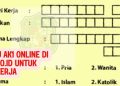 Cara Daftar Kartu AK1 Online di Siduta.medan.go.id untuk pencari kerja