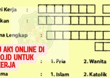 Cara Daftar Kartu AK1 Online di Siduta.medan.go.id untuk pencari kerja