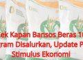 Cek Kapan Bansos Beras 10 Kilogram Disalurkan, Update Paket Stimulus Ekonomi
