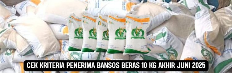Cek Kriteria Penerima Bansos Beras 10 Kg Akhir Juni 2025