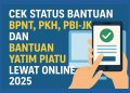 Cek Status Bantuan BPNT, PKH, PBI-JK dan Bantuan Yatim Piatu Lewat Online 2025