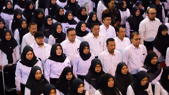 Panduan Lengkap dan Arti Kode Kelulusan! Ini Cara Cek Hasil PPPK 2024 Tahap 2 di SSCASN