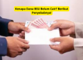 Kenapa Dana BSU Belum Cair? Berikut Penyebabnya!