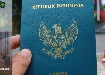 Kuota M-Paspor Juli 2025 di Imigrasi Medan, Daftar Online Lewat M-Paspor