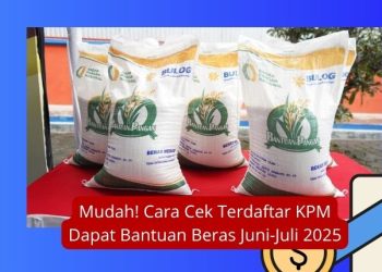 Mudah! Cara Cek Terdaftar KPM Dapat Bantuan Beras Juni-Juli 2025