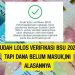 Sudah Lolos Verifikasi BSU 2025 Tapi Dana Belum Masuk,Ini Alasannya