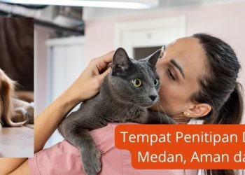 Tempat Penitipan Dokter Hewan di Medan, Aman dan Terpercaya