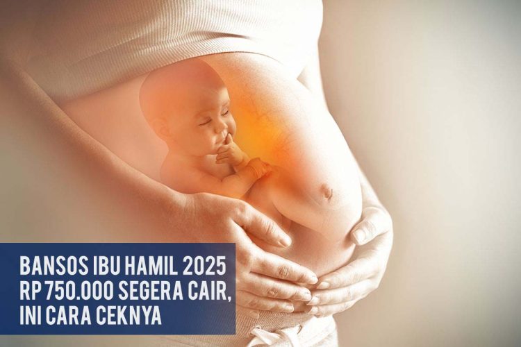 bansos-ibu-hamil-2025-rp-750-000-segera-cair-ini-cara-ceknya