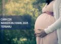 Cara Cek Bansos Ibu Hamil 2025 Terbaru
