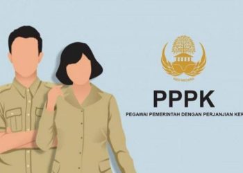 Ini Jadwal Terbaru, Cara Cek, dan Tahapan Krusial Setelah Honorer Dinyatakan Lolos Hasil Seleksi PPPK Tahap 2