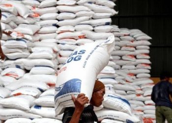 Bansos Beras dan Uang Tunai Segera Cair Akhir Juni 2025